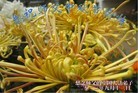 Published on 9/18/2013 ���ֹ�,��½�󷨵��ӹ�ףʦ�������(35��)
