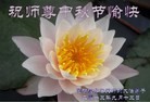 Published on 9/19/2013 ���ֹ�,���Ƿ���Ѻ�Ĵ󷨵��ӹ�ףʦ�������(22��)

