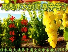 Published on 9/18/2013 ���ֹ�,��½�󷨵��ӹ�ףʦ�������(44��)
