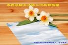 Published on 9/19/2013 ���ֹ�,���������˹�ףʦ�������(73��)

