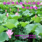 ���ֹ�,�ɶ��󷨵��ӹ�ףʦ�������(28��)
