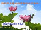 Published on 9/19/2013 ���ֹ�,��½�󷨵��ӹ�ףʦ�������(42��)
