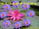 Published on 9/19/2013 ���ֹ�,��½�󷨵��ӹ�ףʦ�������(42��)
