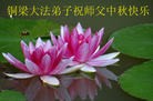 Published on 9/19/2013 ���ֹ�,��½�󷨵��ӹ�ףʦ�������(44��)
