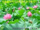 Published on 9/19/2013 ���ֹ�,��ɽ�󷨵��ӹ�ףʦ�������(20��)
