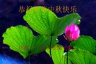 Published on 9/19/2013 ���ֹ�,��½�󷨵��ӹ�ףʦ�������(57��)
