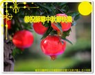 Published on 9/19/2013 ���ֹ�,���Ƿ���Ѻ�Ĵ󷨵��ӹ�ףʦ�������(22��)
