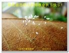 Published on 9/19/2013 ���ֹ�,��½�󷨵��ӹ�ףʦ�������(30��)
