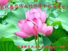 Published on 9/19/2013 ���ֹ�,��½�󷨵��ӹ�ףʦ�������(30��)
