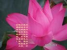 Published on 9/19/2013 ���ֹ�,��½�󷨵��ӹ�ףʦ�������(35��)
