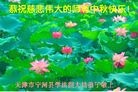 Published on 9/19/2013 ���ֹ�,��½�󷨵��ӹ�ףʦ�������(32��)
