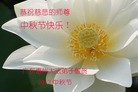 Published on 9/19/2013 ���ֹ�,��½�󷨵��ӹ�ףʦ�������(54��)
