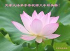 Published on 9/19/2013 ���ֹ�,��½�󷨵��ӹ�ףʦ�������(46��)
