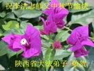 Published on 9/19/2013 ���ֹ�,��½�󷨵��ӹ�ףʦ�������(35��)
