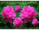 Published on 9/19/2013 ���ֹ�,��½�󷨵��ӹ�ףʦ�������(32��)
