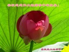 Published on 9/19/2013 ���ֹ�,��½�󷨵��ӹ�ףʦ�������(31��)
