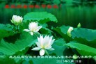 Published on 9/19/2013 ���ֹ�,��½�󷨵��ӹ�ףʦ�������(48��)
