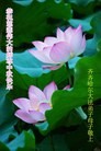 Published on 9/19/2013 ���ֹ�,��½�󷨵��ӹ�ףʦ�������(45��)
