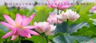 Published on 9/19/2013 ���ֹ�,��½�󷨵��ӹ�ףʦ�������(48��)
