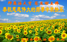 Published on 9/19/2013 ���ֹ�,��½�󷨵��ӹ�ףʦ�������(33��)

