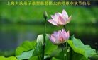 Published on 9/19/2013 ���ֹ�,��½�󷨵��ӹ�ףʦ�������(33��)
