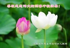 Published on 9/19/2013 ���ֹ�,��½�󷨵��ӹ�ףʦ�������(44��)
