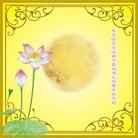 ���ֹ�,��½�󷨵��ӹ�ףʦ�������(34��)
