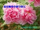 Published on 9/19/2013 ���ֹ�,��½�󷨵��ӹ�ףʦ�������(34��)
