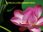 Published on 9/19/2013 ���ֹ�,��½�󷨵��ӹ�ףʦ�������(34��)
