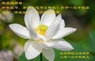 Published on 9/19/2013 ���ֹ�,��½�󷨵��ӹ�ףʦ�������(37��)
