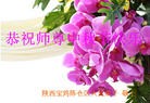 Published on 9/19/2013 ���ֹ�,��½�󷨵��ӹ�ףʦ�������(35��)

