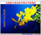 Published on 9/19/2013 ���ֹ�,���ࡢ�����󷨵��Ӻ����������˹�ףʦ�������(23��)
