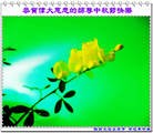 Published on 9/19/2013 ���ֹ�,���ࡢ�����󷨵��Ӻ����������˹�ףʦ�������(23��)
