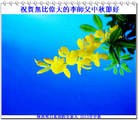 Published on 9/19/2013 ���ֹ�,���ࡢ�����󷨵��Ӻ����������˹�ףʦ�������(23��)
