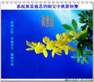 Published on 9/19/2013 ���ֹ�,���ࡢ�����󷨵��Ӻ����������˹�ףʦ�������(23��)
