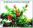 Published on 9/19/2013 ���ֹ�,���ࡢ�����󷨵��Ӻ����������˹�ףʦ�������(23��)
