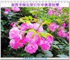 Published on 9/19/2013 ���ֹ�,���ࡢ�����󷨵��Ӻ����������˹�ףʦ�������(23��)
