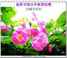 Published on 9/19/2013 ���ֹ�,���ࡢ�����󷨵��Ӻ����������˹�ףʦ�������(23��)
