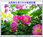 Published on 9/19/2013 ���ֹ�,���ࡢ�����󷨵��Ӻ����������˹�ףʦ�������(23��)
