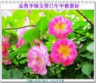 Published on 9/19/2013 ���ֹ�,���ࡢ�����󷨵��Ӻ����������˹�ףʦ�������(23��)
