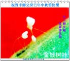Published on 9/19/2013 ���ֹ�,���ࡢ�����󷨵��Ӻ����������˹�ףʦ�������(23��)
