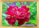 Published on 9/19/2013 ���ֹ�,���������˹�ףʦ�������(73��)
