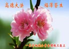 Published on 9/19/2013 ���ֹ�,���������˹�ףʦ�������(73��)
