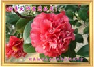 Published on 9/18/2013 ���ֹ�,��½���Ӵ󷨵��ӹ�ףʦ�������
