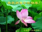 Published on 9/19/2013 ���ֹ�,С���ӹ�ףʦ�������(21��)
