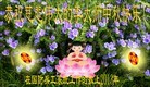 Published on 9/18/2013 ���ֹ�,���������˹�ףʦ�������
