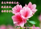 Published on 9/18/2013 ���ֹ�,���������˹�ףʦ�������
