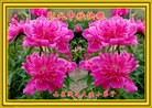 Published on 9/18/2013 ���ֹ�,С���ӹ�ףʦ�������(19��)
