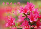Published on 9/18/2013 ���ֹ�,���������˹�ףʦ�������
