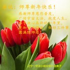 ���ֹ�,��½�󷨵��ӹ�ףʦ���������(39��)
